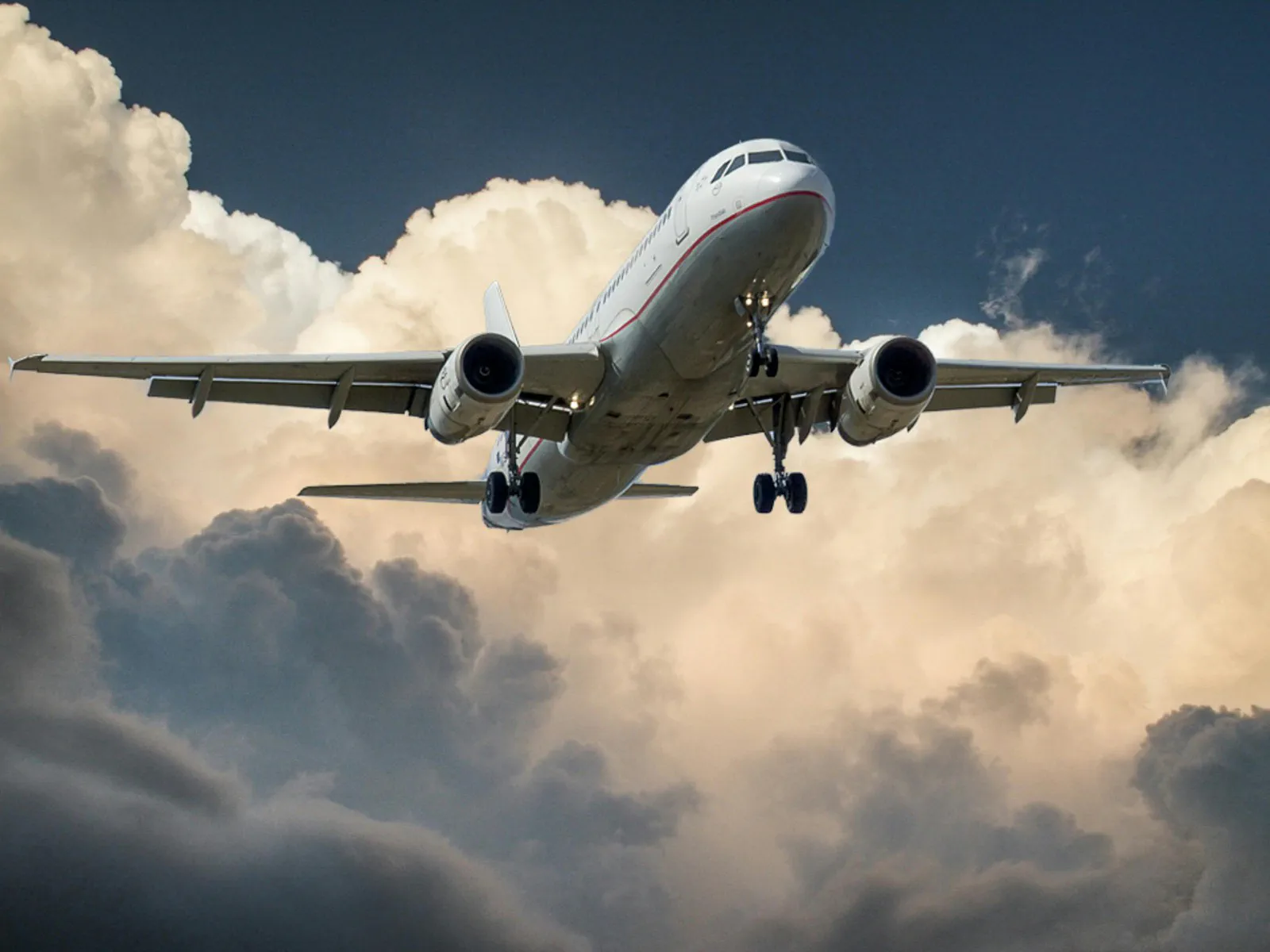 Air Freight (Import & Export)